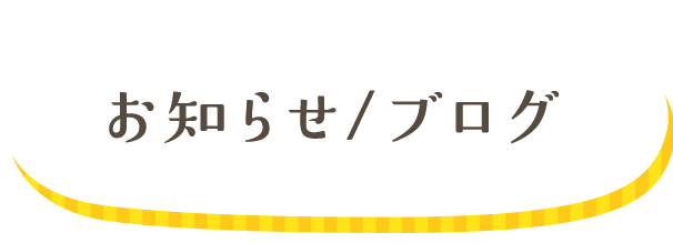 お知らせ/ブログ