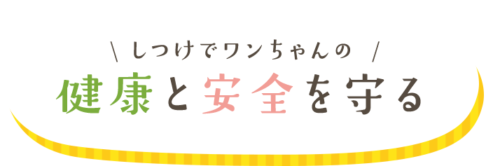 しつけでワンちゃんの健康と安全を守る