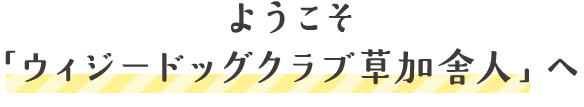 ようこそウィジードッグクラブ草加舎人へ